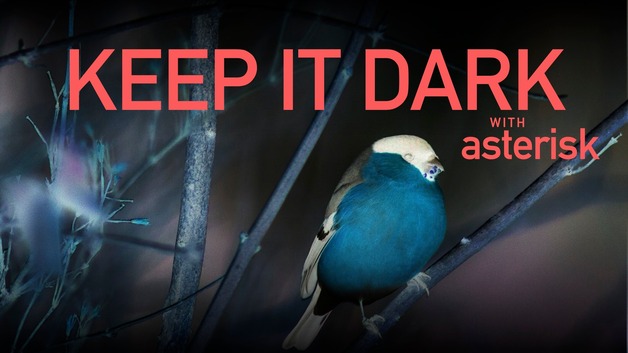 Event image Keep It Dark 