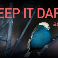 Event image Keep It Dark 