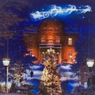 Event image JULETREFEST I FESTIVITETEN