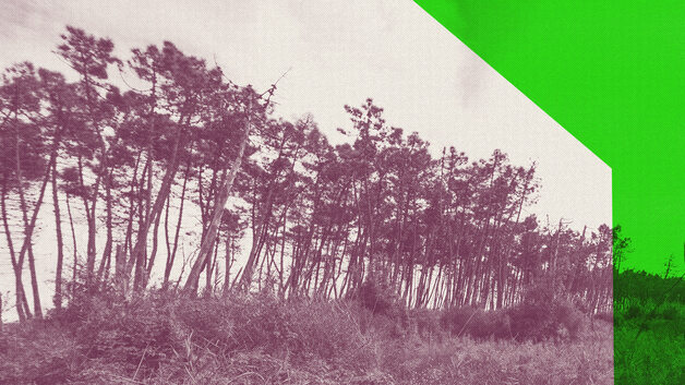 Event image Avslutningsforestilling Borealis 2026: Franz (Purgatorio XXVII-XXXIII)