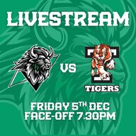 Event image Basingstoke Bison v Telford Tigers Livestream - F/0 19:30