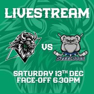 Event image Basingstoke Bison v Sheffield Steeldogs Livestream - F/0 18:30