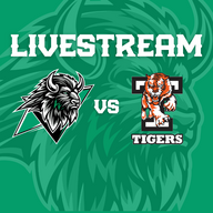 Event image Basingstoke Bison v Telford Tigers Livestream - F/0 18:30