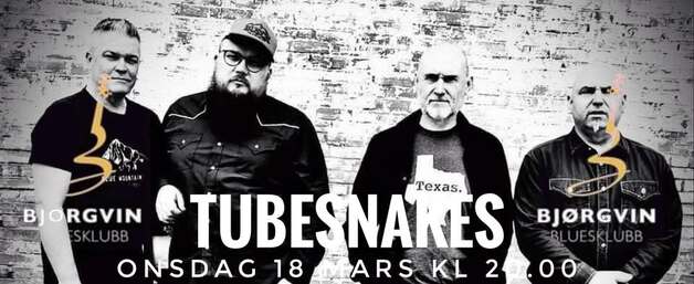 Event image Bjørgvin Bluesklubb - Tubesnakes