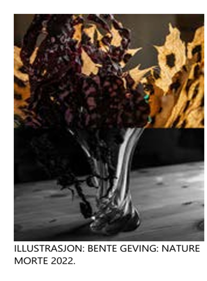 Event image Forelesning samisk fotokunst (del 2) ONSDAG 11. februar 2026