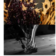 Event image Forelesning samisk fotokunst (del 2) ONSDAG 11. februar 2026