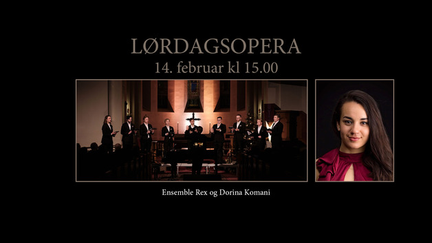 Event image Lørdagsopera: Valentineskonsert
