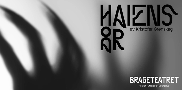 Event image Haiens år