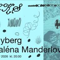 Event image F/eks: Magdaléna Manderlová / Karl Hjalmar Nyberg