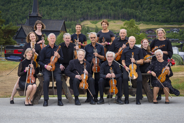 Event image Danseglede!