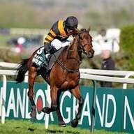 Event image The Grand National Lunch 2026