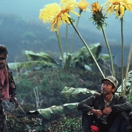 Event image Yume – 35mm