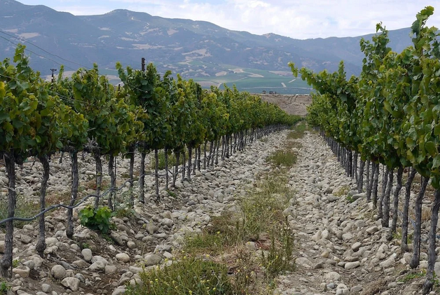 Event image Wine Makers Dinner - Russell Joyce