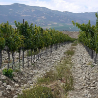 Event image Wine Makers Dinner - Russell Joyce