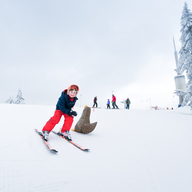 Event image Vinterferie Holmestrand kommune 2026// Skimore Drammen. Mandag 16. februar