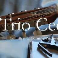 Event image TRIO CEES