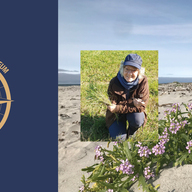 Event image HAVET og de spiselige vekstene