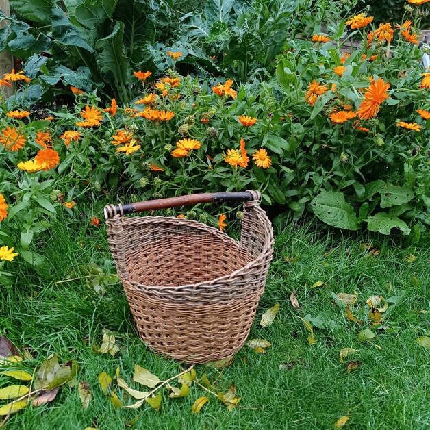 Event image Nybegynnerkurs i kurvfletting med kurvmaker Coline Bouquin 