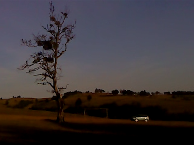 Event image BFK | 11.02.2026 | Dry Leaf (2025)