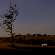 Event image BFK | 11.02.2026 | Dry Leaf (2025)