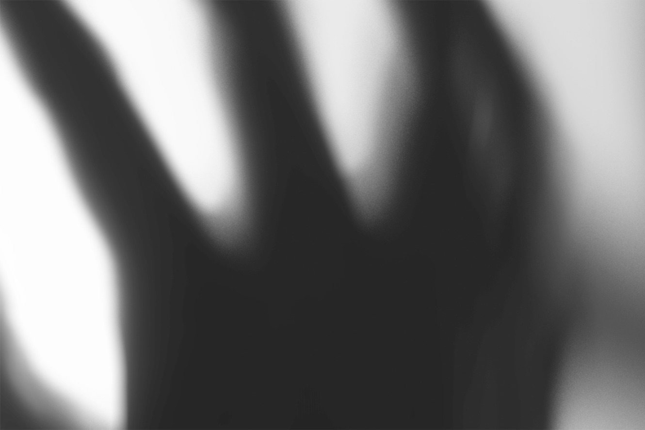 HEDDADAGENE: Haiens år – Brageteateret