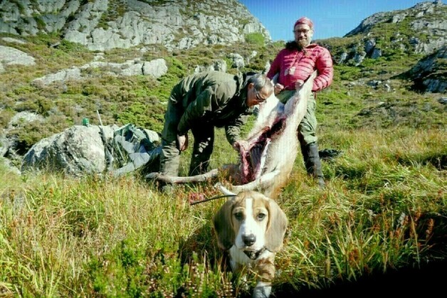 Event image Feltkontrollørkurs Mosjøen, Hotell Milano 12. februar