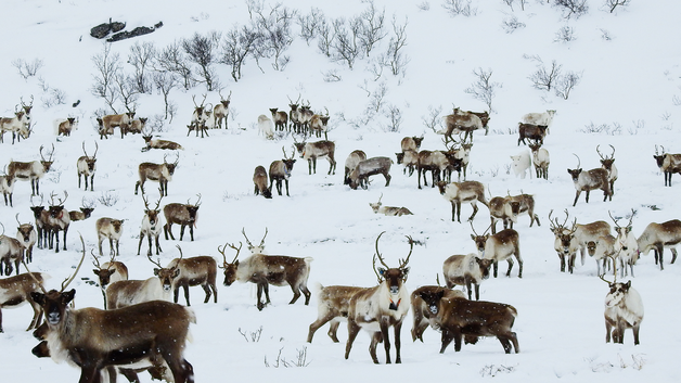 Event image Urfolk og utbygging - gammel konflikt i ny drakt