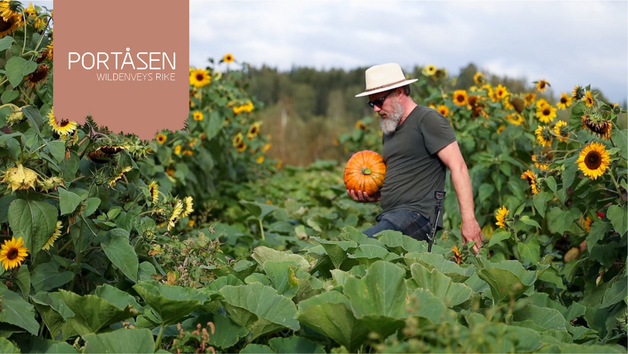 Event image Foredrag: Egenberedskap i kjøkkenhagen