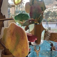 Event image Folkeverksted: Eventyrtrær (inspirert av Astrups bilde Marsmorgen)