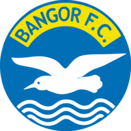 Event image Dungannon Swifts vs Bangor FC