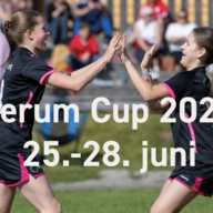 Event image Øygarden Idrettslag - Lerum Sognefjord Cup 2026