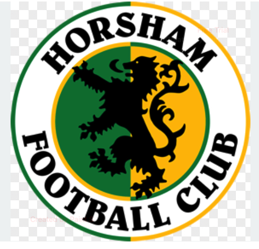 Event image Salisbury FC v Horsham FC - Away Supporters