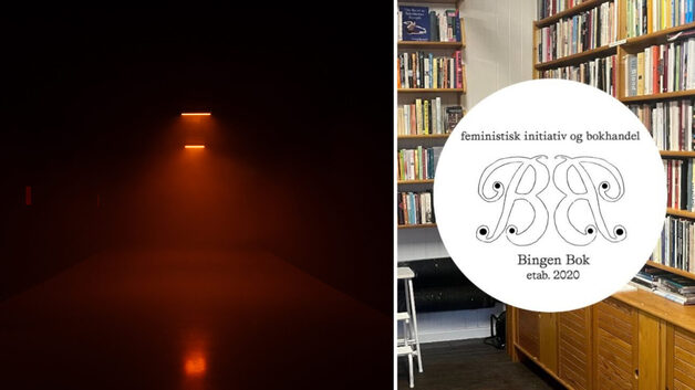 Event image Omvisning og lesesirkel (P. Staff) - Bingen Bok x Astrup Fearnley Museet