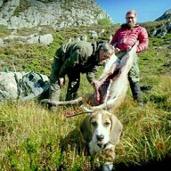 Event image Feltkontrollørkurs Sotra - Hjeltefjorden arena