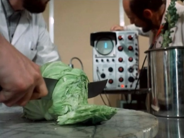 Event image A Gastronomic Journey to the Secret Life of Plants