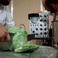 Event image A Gastronomic Journey to the Secret Life of Plants