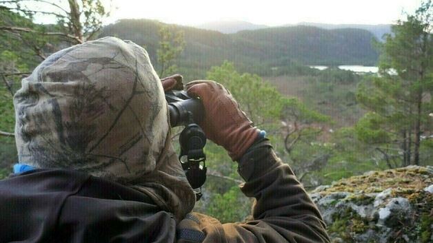 Event image Hjortejakt på Svanøy første jakthelg 2026!