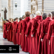 Event image Hallvardsvake