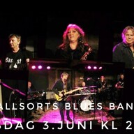 Event image Bjørgvin Bluesklubb - Allsorts Bluesband