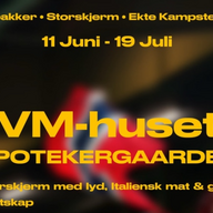 Event image Mexico - Sør-Afrika