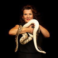 Event image Show med Oslo Reptilpark // Holmestrand bibliotek