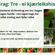 Event image Tre - ei kjærleikshistorie. Føredrag ved Jørn Øyrehagen Sunde