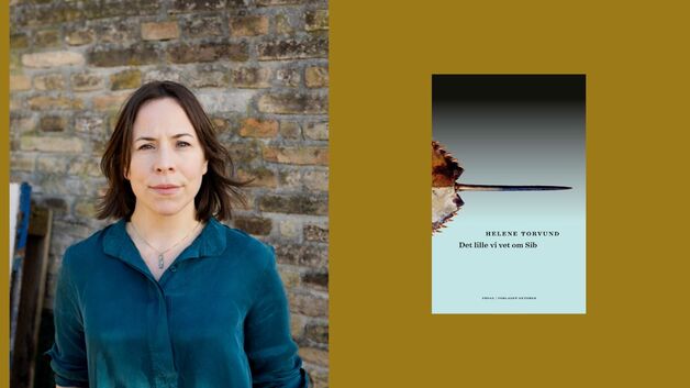 Event image Lyrikklesesirkel: Det lille vi vet om Sib av Helene Torvund