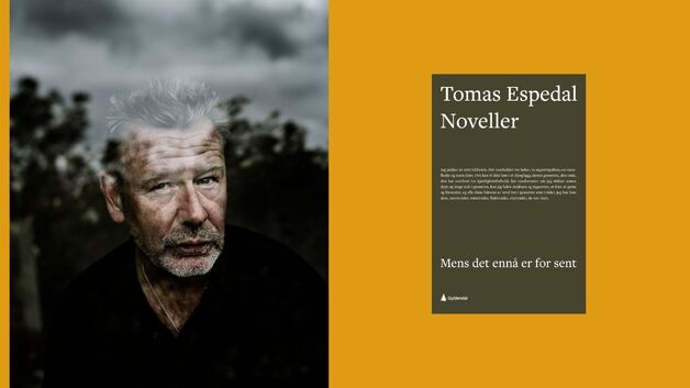 Event image Lesesirkel for samtidslitteratur: Mens det ennå er for sent av Tomas Espedal