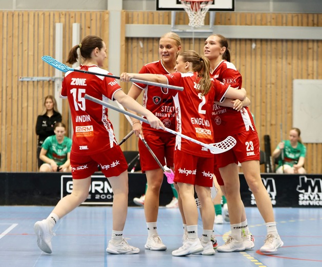 Event image Telge SIBK - Lillån IBK playoff 2