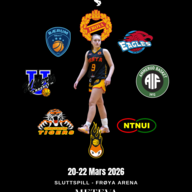 Event image BLNO Kvinner sluttspill