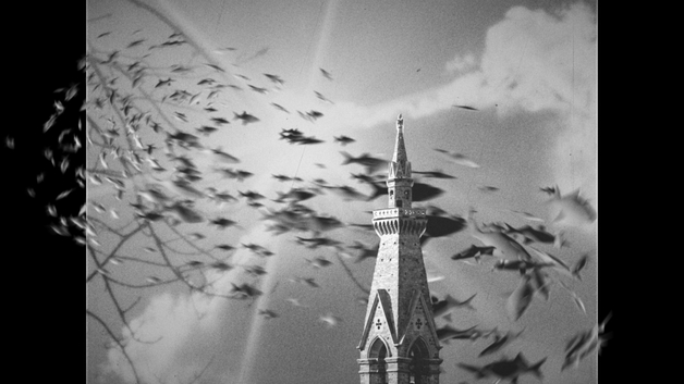 Event image BFK | 28.03.2025 | Women Calling the Shots - African Cinema in Spotlight | Short Films Programme with Jyoti Mistry