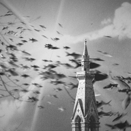 Event image BFK | 28.03.2025 | Women Calling the Shots - African Cinema in Spotlight | Short Films Programme with Jyoti Mistry