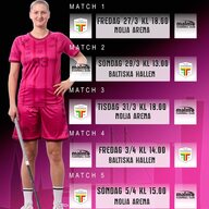 Event image INSAMLING SLUTSPELSTÅGET