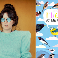 Event image Verdas bokdag i Lærdal kulturhus med Skinkeape // Lyse dagar i Lærdal